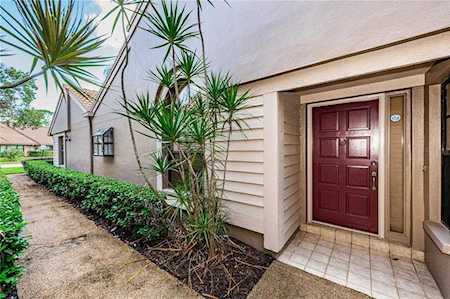 3172 Windmoor Dr N Palm Harbor, FL 34685