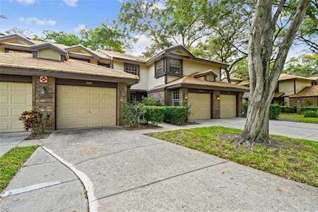 2666 Walnut Dr Palm Harbor, FL 34683