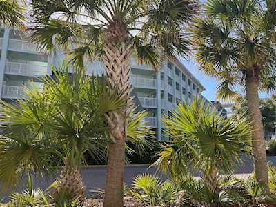 14290 Ocean Highway #107 Pawleys Island, SC 29585