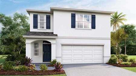 33577 Apricot Tree Ct Wesley Chapel, FL 33543