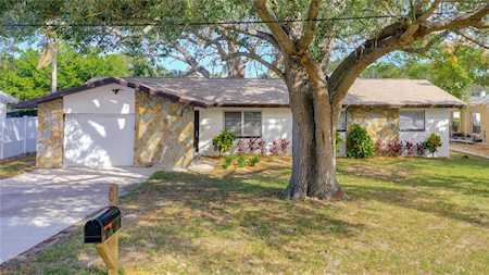 106 Oak Ave Palm Harbor, FL 34684