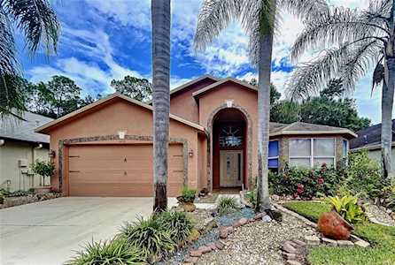 1428 Firewheel Dr Wesley Chapel, FL 33543