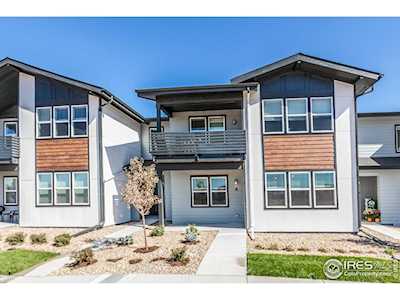 2296 Setting Sun Dr Windsor, CO 80550
