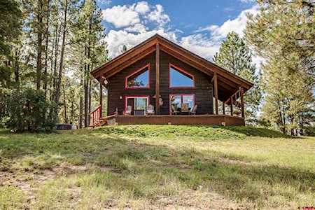318 Silver Circle Pagosa Springs, CO 81147
