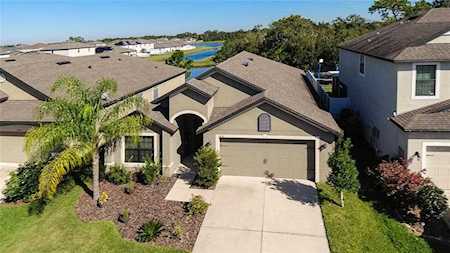 11856 Thicket Wood Dr Riverview, FL 33579
