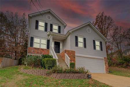 1783 Spring View Terrace Ct Ballwin, MO 63021
