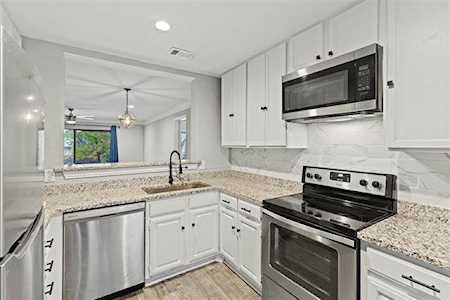 4557 N O Connor Road #1287 Irving, TX 75062
