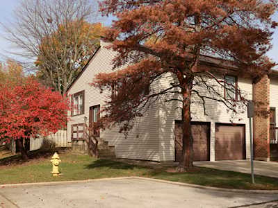 466 Sauk Ln Bolingbrook, IL 60440