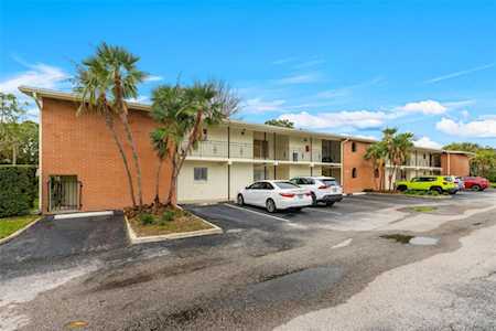 4520 Overlook Dr NE #233 St. Petersburg, FL 33703