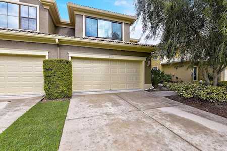 8255 Acadian Ln Seminole, FL 33777