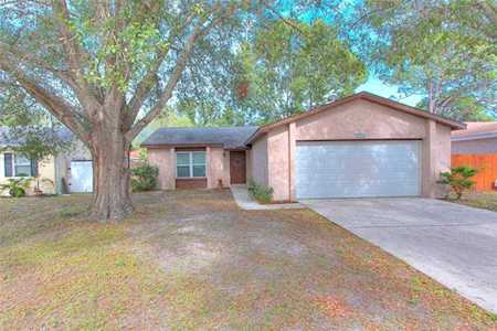1916 Saginaw Ct Oldsmar, FL 34677