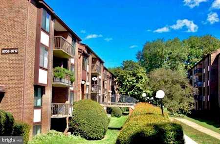 9710 Kingsbridge Dr #304 Fairfax, VA 22031