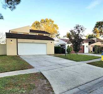 16111 Gardendale Dr Tampa, FL 33624