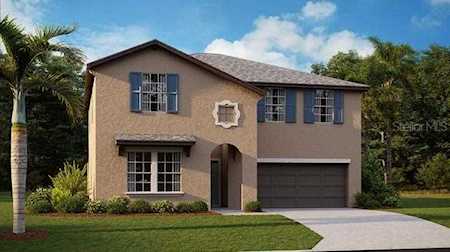 9804 Branching Ship TRACE Wesley Chapel, FL 33545