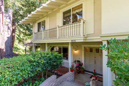 14662 Springer Ave Saratoga, CA 95070