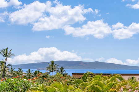 3300 Wailea Alanui Dr #17F Kihei, HI 96753