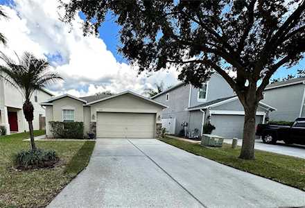 3545 Cardinal Feather Dr Land O Lakes, FL 34638