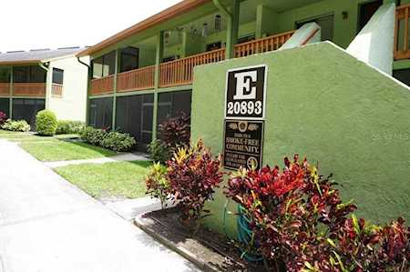 20893 Haulover COVE #E7 Lutz, FL 33558