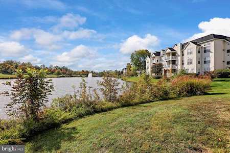 25240 Lake Shore Square #304 Chantilly, VA 20152