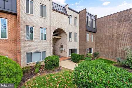 5041 7th Rd S #102 Arlington, VA 22204