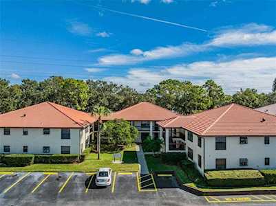 1313 Hammock Pine Blvd #1313 Clearwater, FL 33761
