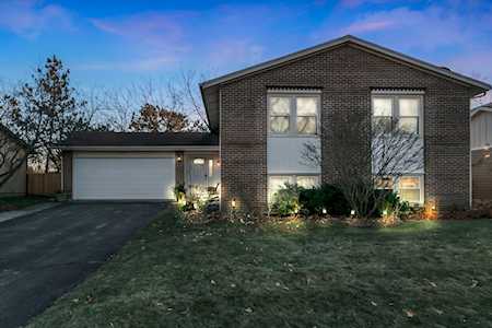 514 Buckthorn Terrace Buffalo Grove, IL 60089