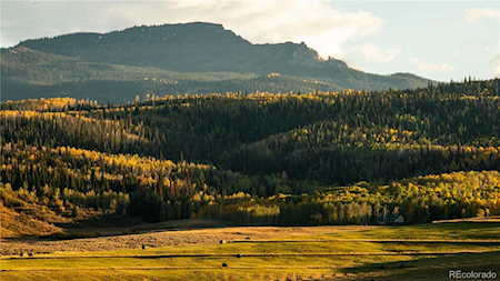21550 County Road 132A Oak Creek, CO 80467