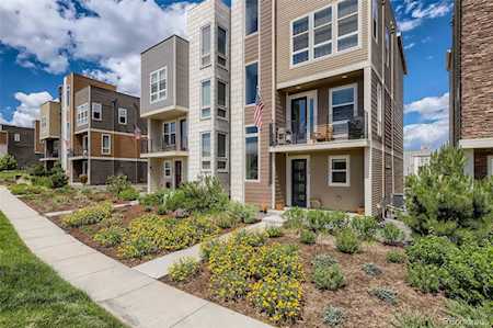 3576 Cerf Way Castle Rock, CO 80109