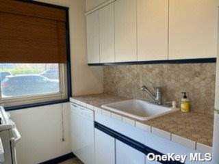 249-45 61st Avenue #2-493 Little Neck, NY 11362