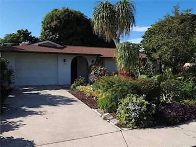 3719 Odom Dr New Port Richey, FL 34652