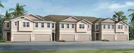 25951 Woven Wicker BEND Lutz, FL 33559