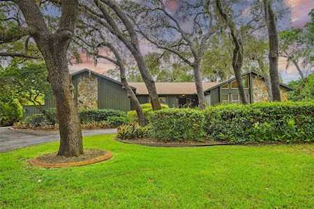 30 Eagle Ln Palm Harbor, FL 34683