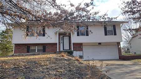 20 Freymuth Rd Lake St Louis, MO 63367