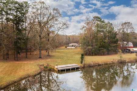 18586 River Drive Shelby, AL 35143