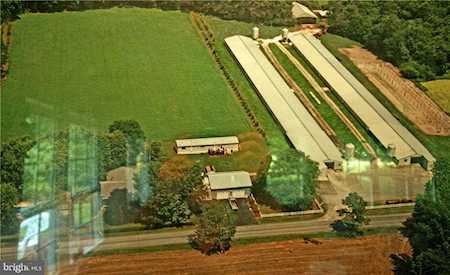 15869 Smith Haven Rd Ellendale, DE 19941