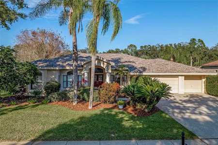 3737 Embassy CIRCLE Palm Harbor, FL 34685