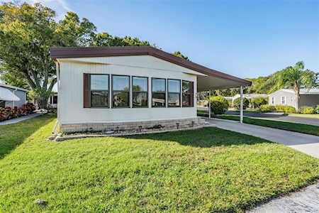 72 Red Fox RUN #1 Safety Harbor, FL 34695