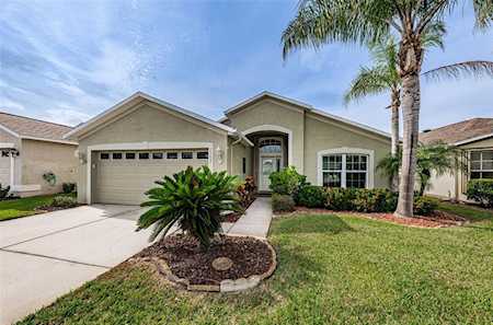 1153 Winding Willow Dr Trinity, FL 34655