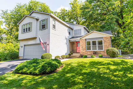 730 Victoria Ct Bolingbrook, IL 60440