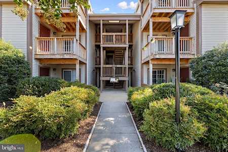 6918 Victoria Dr #L Alexandria, VA 22310