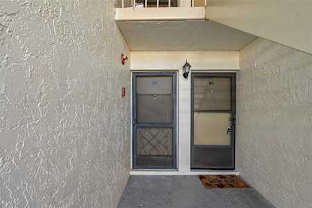 115 Pine Ct Oldsmar, FL 34677