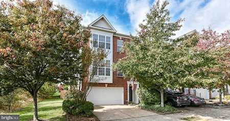 6608 Thorpe Terrace Alexandria, VA 22315
