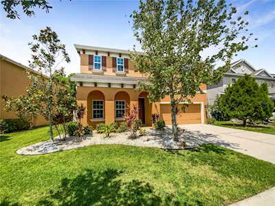 6445 Bradford Hill Ct Wesley Chapel, FL 33545