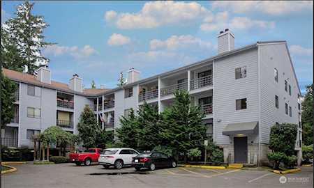 710 N 160th St #B106 Shoreline, WA 98133