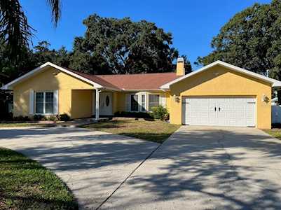 438 Lafayette Blvd Oldsmar, FL 34677