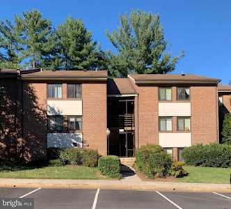 1437 Northgate Square #1A Reston, VA 20190