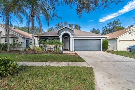7709 Blue Spring Dr Land O Lakes, FL 34637