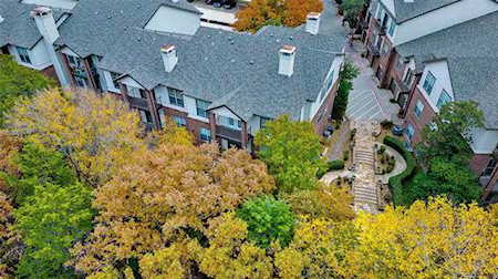 1651 Ascension Bluff Drive #359 Arlington, TX 76006