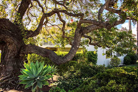 2 W Constance Ave #1 Santa Barbara, CA 93105