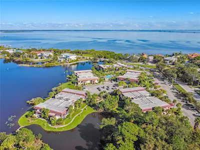 1003 S Bayshore Blvd #103 Safety Harbor, FL 34695